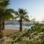 Swimming pool surrounded by Palm trees