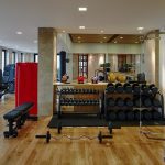 ultra - luxury gym at villa 20