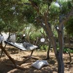 garden with swing in Paros