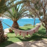 Relax on the hammock under the palm trees