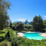 swimming pool and manicured lawns