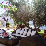 Lounge area under the palm tree at villa Pearl