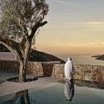 Olive tree and infinity pool view