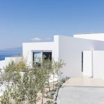 Olive trees and sea view at Oia