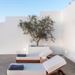 Sun beds and olive tree in the pool deck